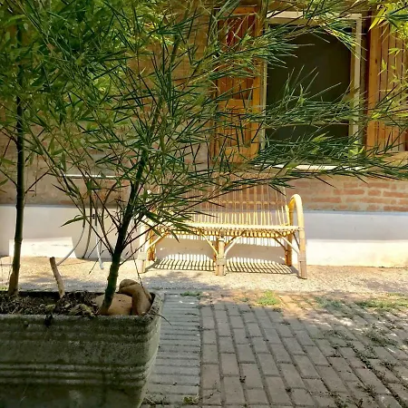 Bamboo Cottage,